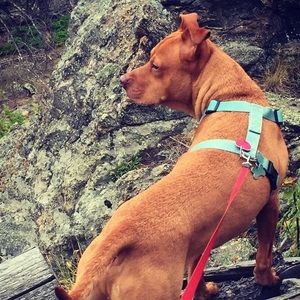 Meet your Posher, Kenya